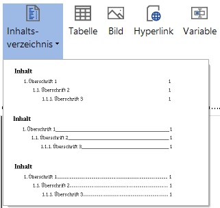 Docusnap IT-Konzept Inhaltsverzeichnis Design
