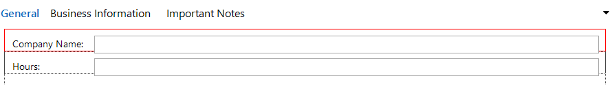 Docusnap-Editor-Control-Item