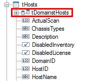 Docusnap-Report-Designer-tDomains-Host Docusnap-Report-Designer-tDomains-Host