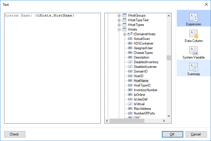 Docusnap-Report-Designer-Text-Editor-Expression-Statment Docusnap-Report-Designer-Text-Editor-Expression-Statment