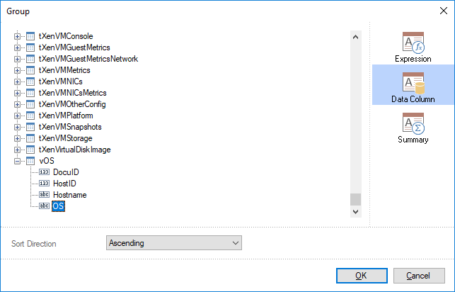 Docusnap-Report-Designer-Group-Condtion-Data-Column-create Docusnap-Report-Designer-Group-Condtion-Data-Column-create