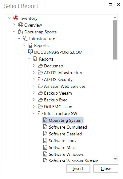 Docusnap-IT-Concepts-Select-Report Docusnap-IT-Concepts-Select-Report