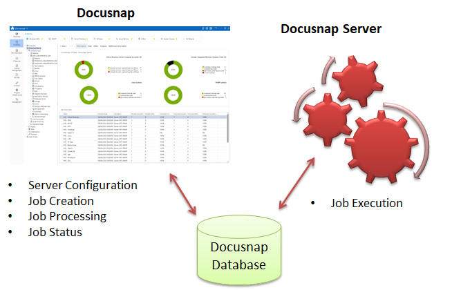 Docusnap-Server-Overview-Graph Docusnap-Server-Overview-Graph